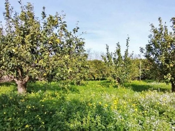 terreno in vendita a Mascali in zona Fondachello