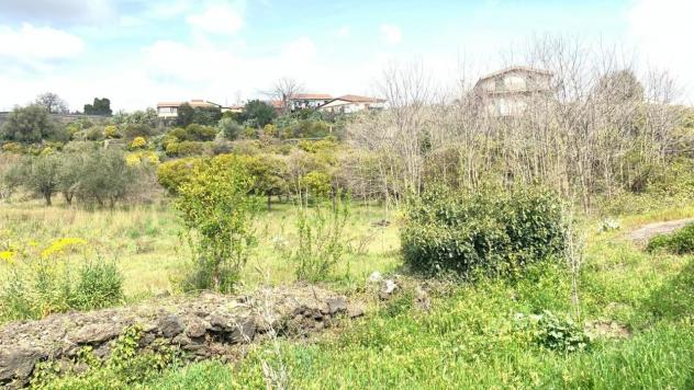 negozio in vendita a Mascalucia