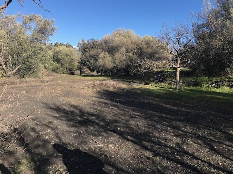 terreno agricolo in vendita a Mascalucia