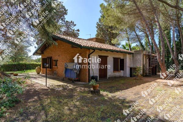 casa indipendente in vendita a Mascalucia