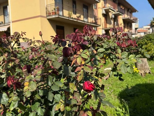 appartamento in vendita a Mascalucia