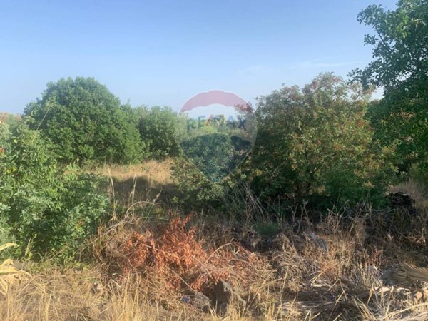 terreno agricolo in vendita a Mascalucia