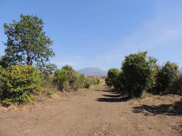 terreno agricolo in vendita a Mascalucia