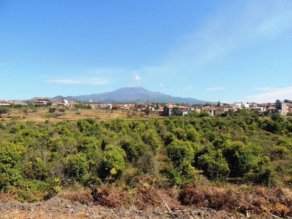 terreno agricolo in vendita a Mascalucia