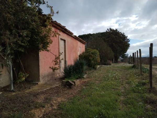 terreno agricolo in vendita a Mascalucia