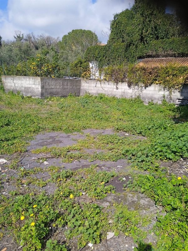 appartamento in vendita a Mascalucia