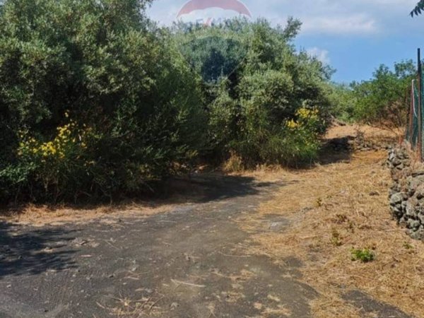 terreno agricolo in vendita a Mascalucia