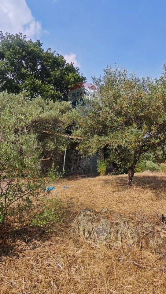 terreno agricolo in vendita a Mascalucia