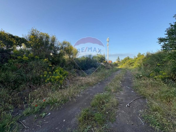 terreno agricolo in vendita a Mascalucia