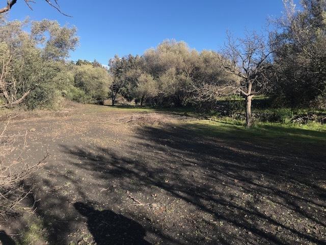 terreno agricolo in vendita a Mascalucia