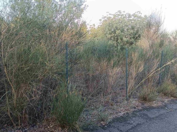 terreno agricolo in vendita a Mascalucia
