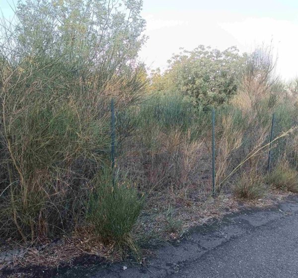 immagine annuncio 0 di 13