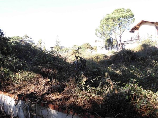 terreno agricolo in vendita a Mascalucia