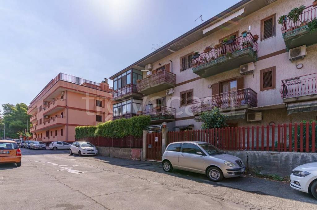 appartamento in vendita a Mascalucia