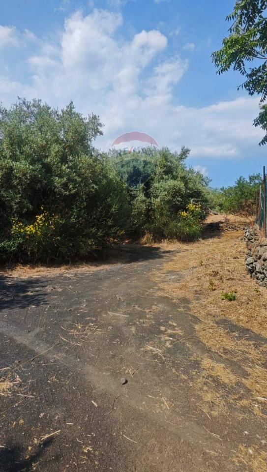 terreno agricolo in vendita a Mascalucia