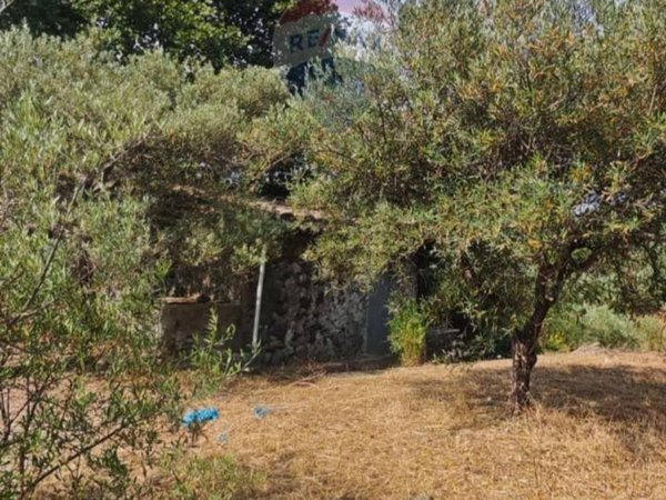 terreno agricolo in vendita a Mascalucia