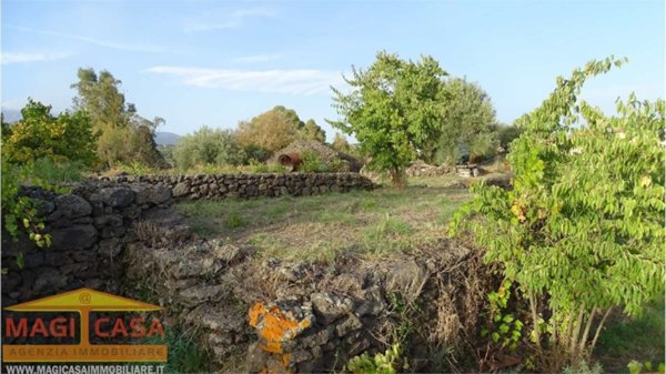 terreno agricolo in vendita a Mascalucia