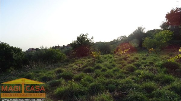 terreno agricolo in vendita a Mascalucia