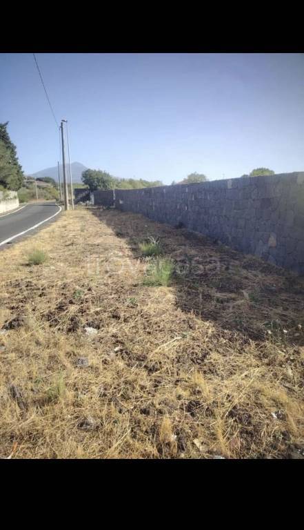 terreno agricolo in vendita a Mascalucia