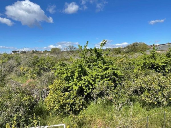 casa indipendente in vendita a Mascalucia