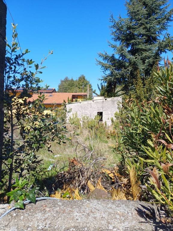 terreno agricolo in vendita a Mascalucia