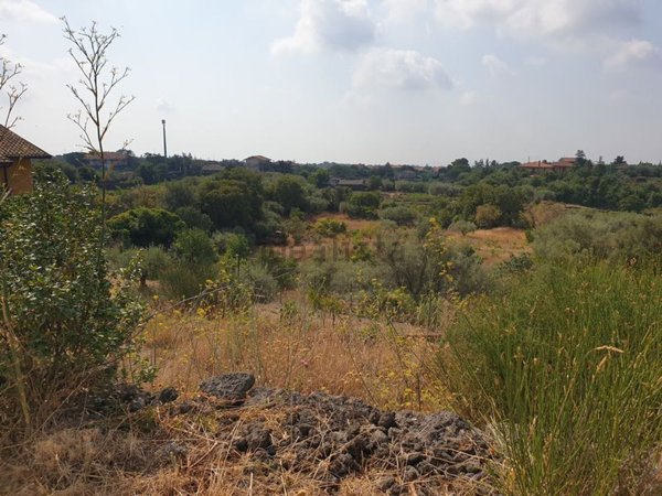 terreno agricolo in vendita a Mascalucia