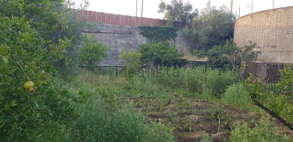 pentavano in vendita a Mascalucia