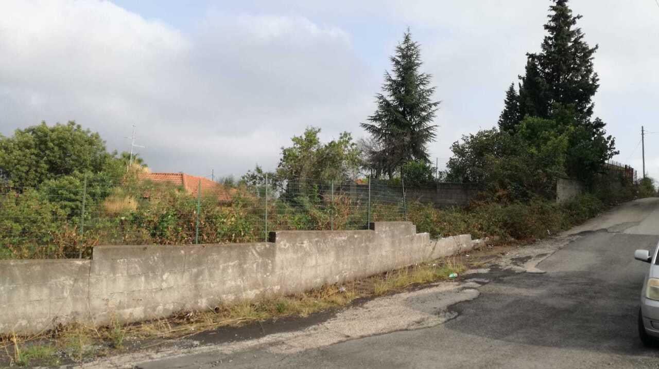 terreno agricolo in vendita a Mascalucia