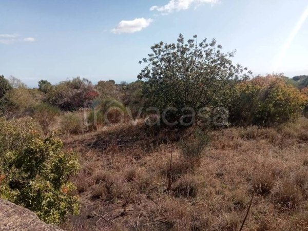 terreno agricolo in vendita a Mascalucia
