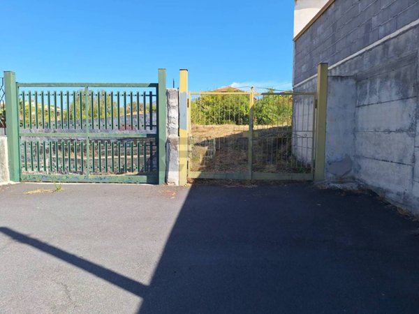 terreno agricolo in vendita a Mascalucia in zona Massa Annunziata