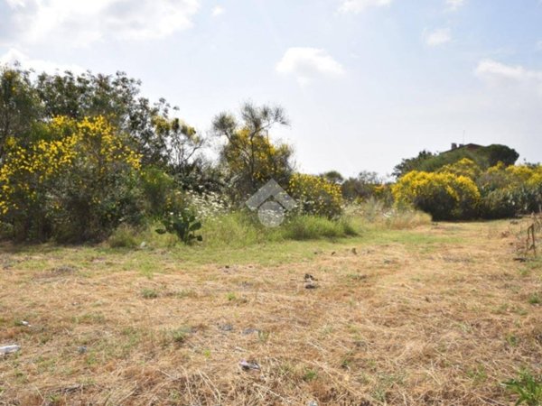terreno agricolo in vendita a Mascalucia
