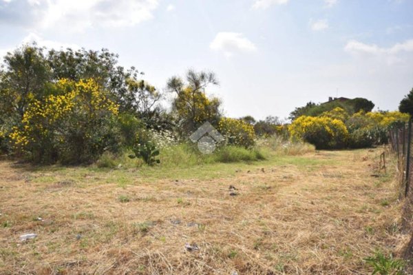 terreno agricolo in vendita a Mascalucia