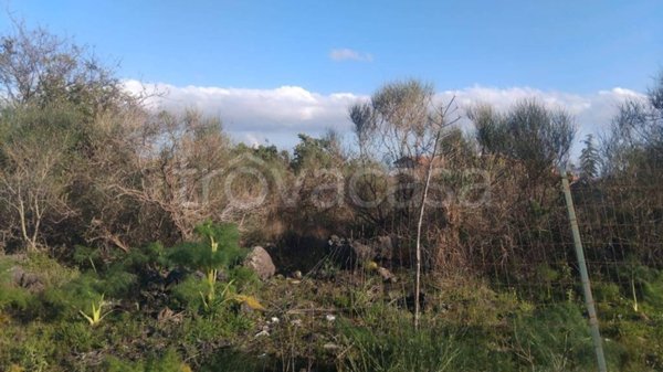 terreno agricolo in vendita a Mascalucia
