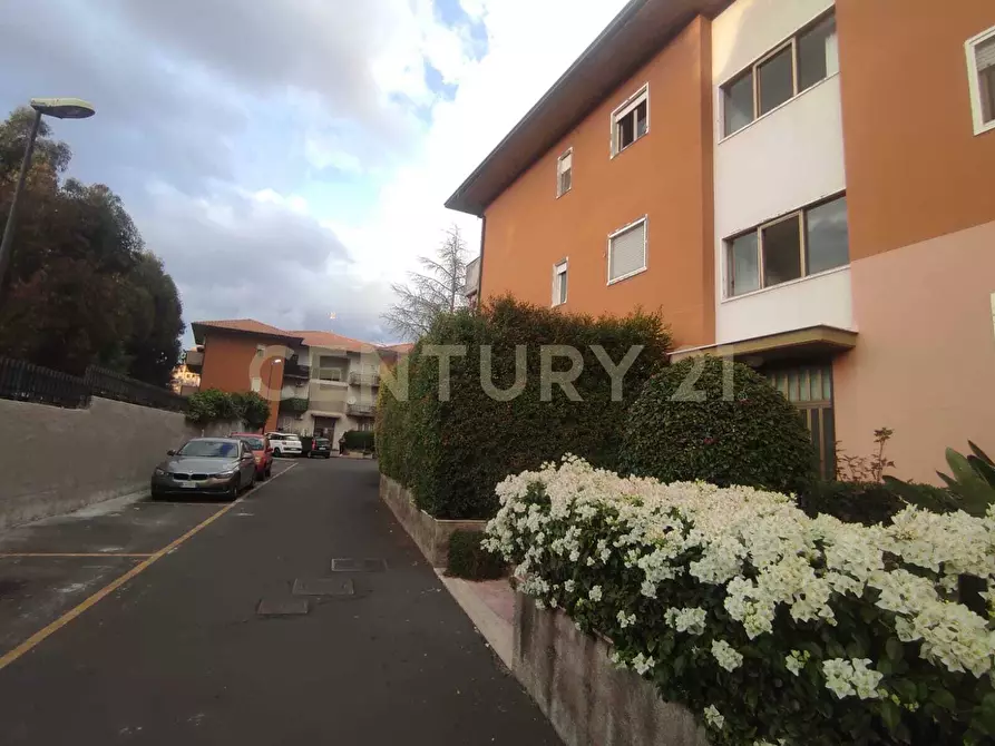 appartamento in vendita a Mascalucia