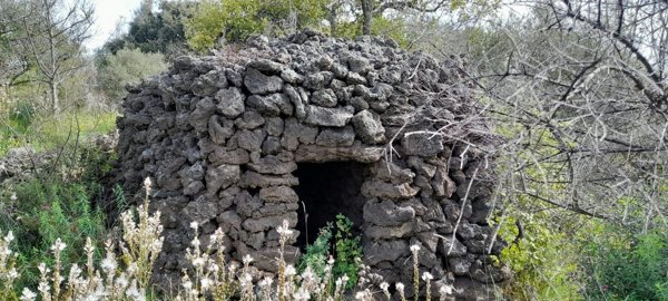 terreno agricolo in vendita a Mascalucia