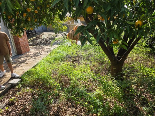 casa indipendente in vendita a Mascalucia