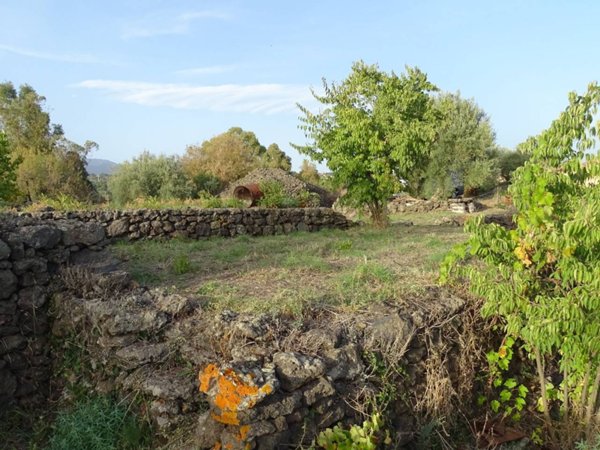 terreno agricolo in vendita a Mascalucia