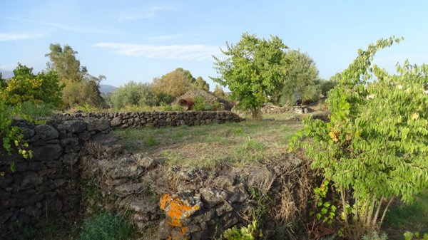 terreno agricolo in vendita a Mascalucia in zona Massa Annunziata