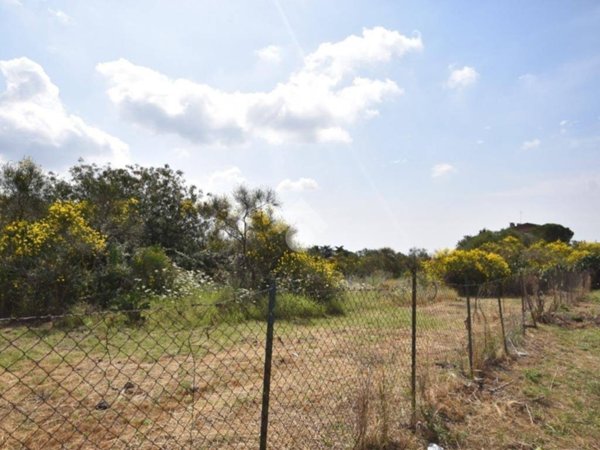 terreno agricolo in vendita a Mascalucia
