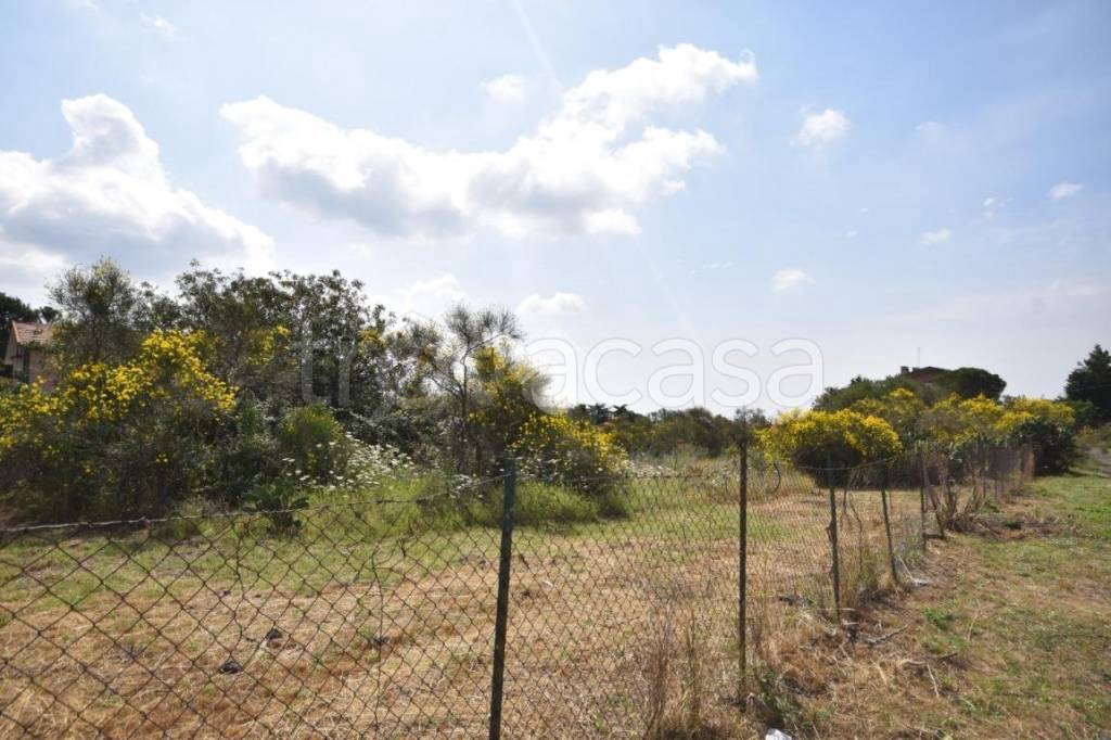 terreno agricolo in vendita a Mascalucia