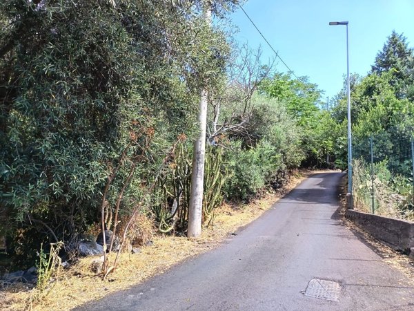 terreno agricolo in vendita a Mascalucia
