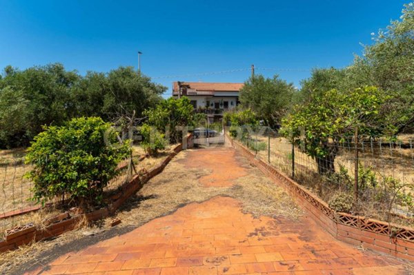 terreno agricolo in vendita a Mascalucia in zona Massa Annunziata