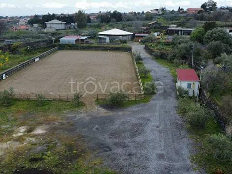 terreno agricolo in vendita a Mascalucia