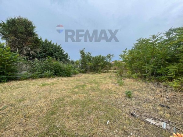 terreno agricolo in vendita a Mascalucia in zona Massa Annunziata