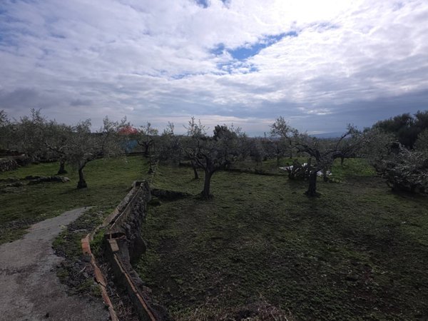 terreno in vendita a Mascalucia