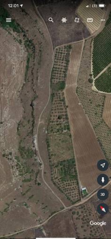 terreno agricolo in vendita a Militello in Val di Catania