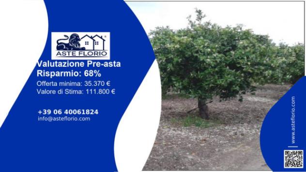 terreno agricolo in vendita a Militello in Val di Catania