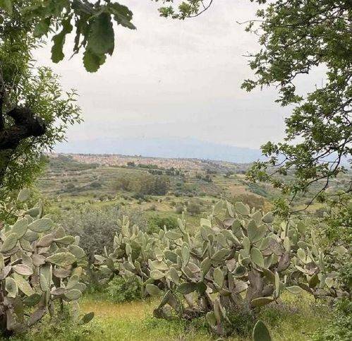 terreno agricolo in vendita a Militello in Val di Catania