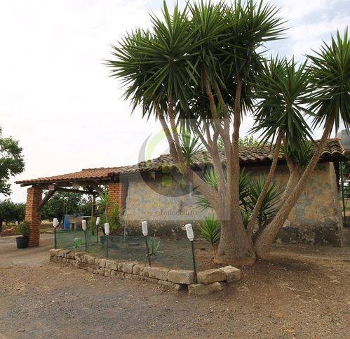 terreno agricolo in vendita a Militello in Val di Catania