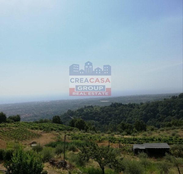 casa indipendente in vendita a Milo